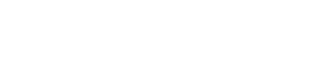 Critical Issues 2027